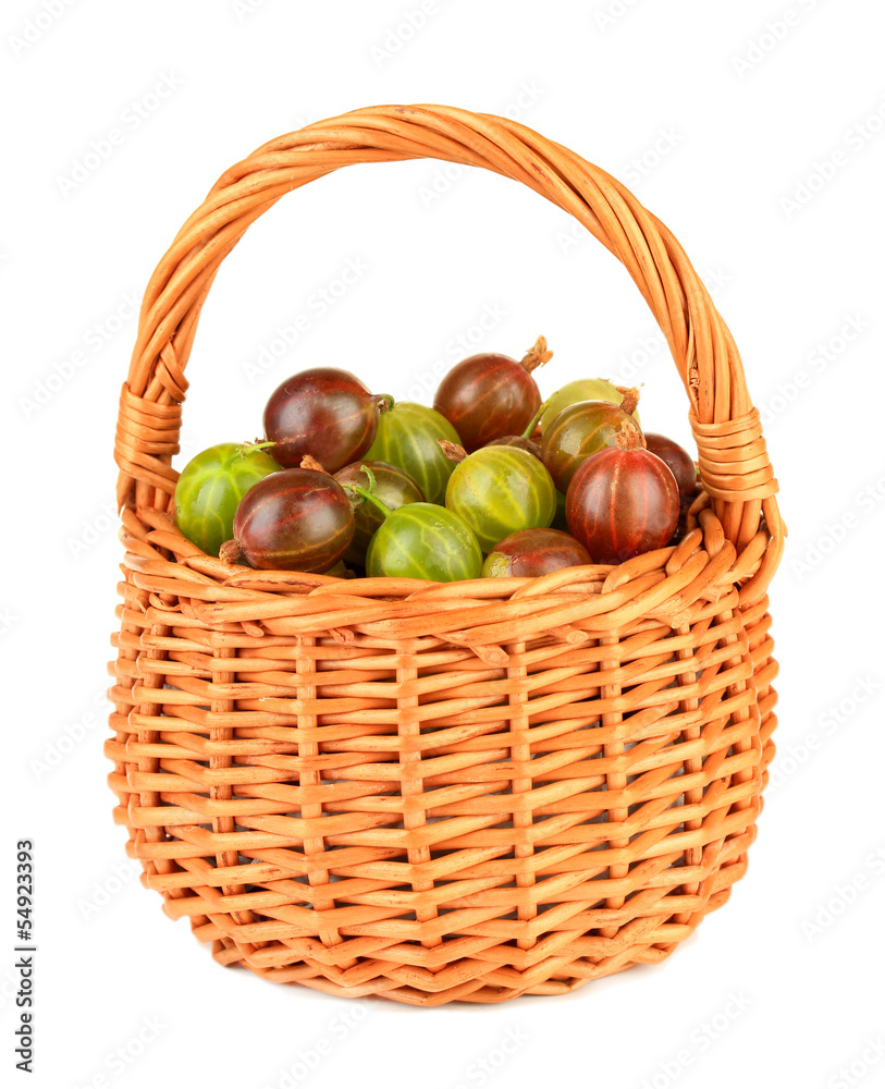 Fresh gooseberries in wicker basket isolated on white