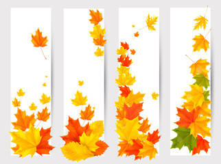 Poster - Set of autumn banners with colorful leaves. Back to school. Vect