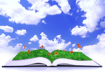 Sticker - Open book of nature over blue sky with clouds