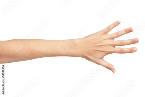 Fotomural Female hand isolated on white background