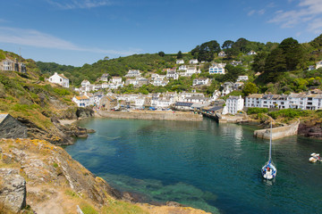 Wall Mural - Polperro Cornwall England UK