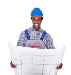 Wall Mural - Male Craftsman Holding Blueprint