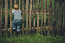 Little Funny Boy With Fence