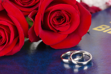 Wall Mural - Wedding rings with roses on bible