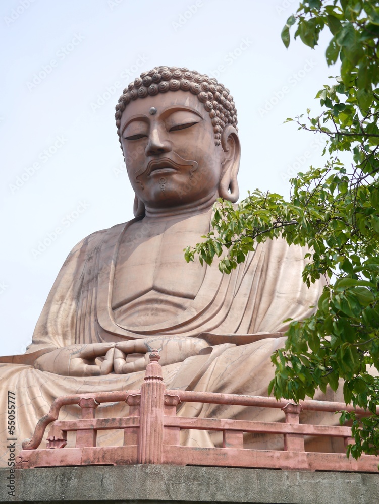 大仏様の横顔 Stock Photo | Adobe Stock
