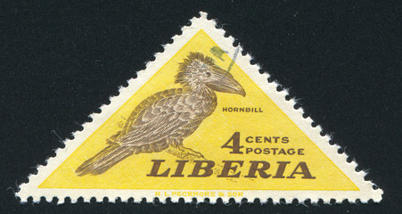 Poster - Hornbill