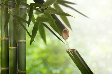 bamboo water fountain