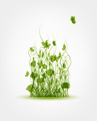 Wall Mural - Green meadow background for your design