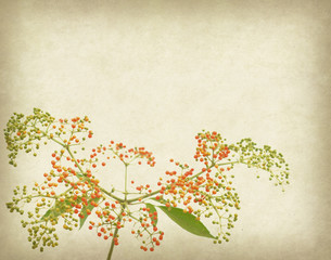 Wall Mural - Bunch of yellow rowan on grunge textured background