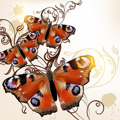 Wall Mural - Beautiful vector  background with butterflies