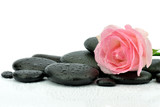 Fototapeta Kamienie - Róża na kamieniach do spa