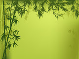 Fototapeta Sypialnia - green color bamboo illustration