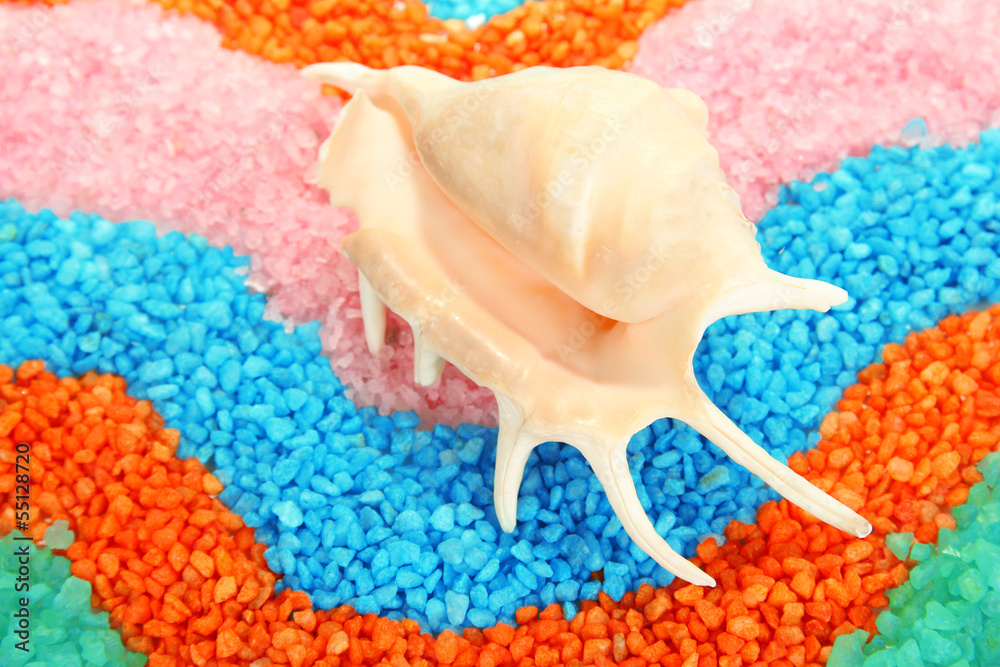 Shell on colorful crystals of sea salt background