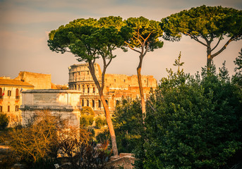 Fototapete - Colosseum at sunset