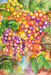 Watercolor of fruits