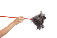 Woman Hand Holding A Duster Clean