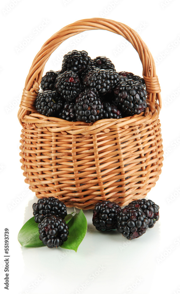Ripe blackberries in basket isolated on white