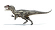 © Pixelchaos - Photorealistic and scientifically correct 3 D rendering of an Al