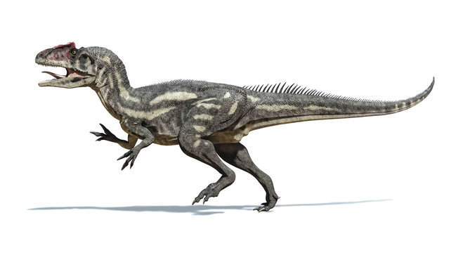 Photorealistic and scientifically correct 3 D rendering of an Al