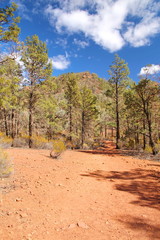 Wall Mural - Australian outback and Flinders Ranges