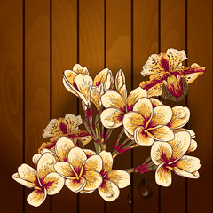 Beautiful flowers on a wooden texture. Vector illustration.