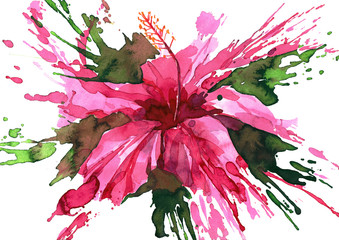 Wall Mural - hibiscus flower