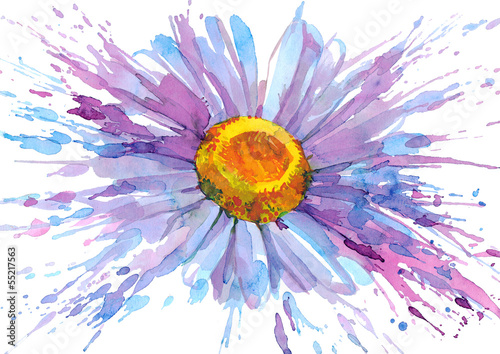 Nowoczesny obraz na płótnie daisy flower