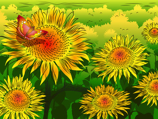 Wall Mural - Sunflower background with butterfly