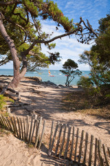 Wall Mural - France > Vendée > Noirmoutier > Bois de la Chaise