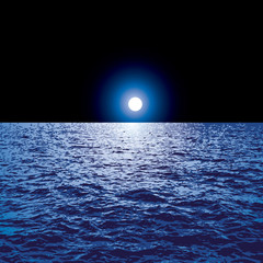 Wall Mural - sea moonlight