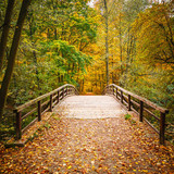 Fototapeta Do przedpokoju - Bridge in autumn forest