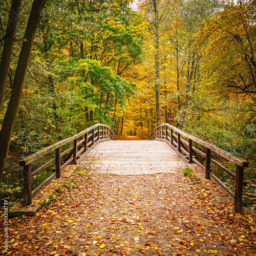 Naklejka na szybę Bridge in autumn forest