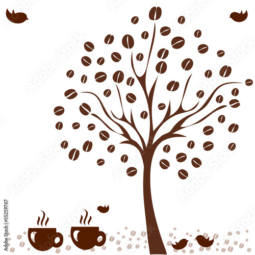 Fototapeta do kuchni coffee tree. coffee tree concept