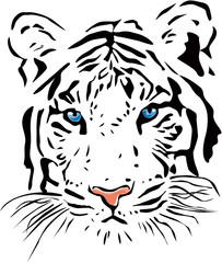 Sticker - White tiger