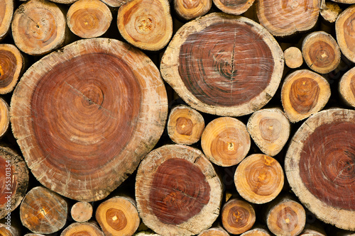 Naklejka na szafę Pile of wood logs