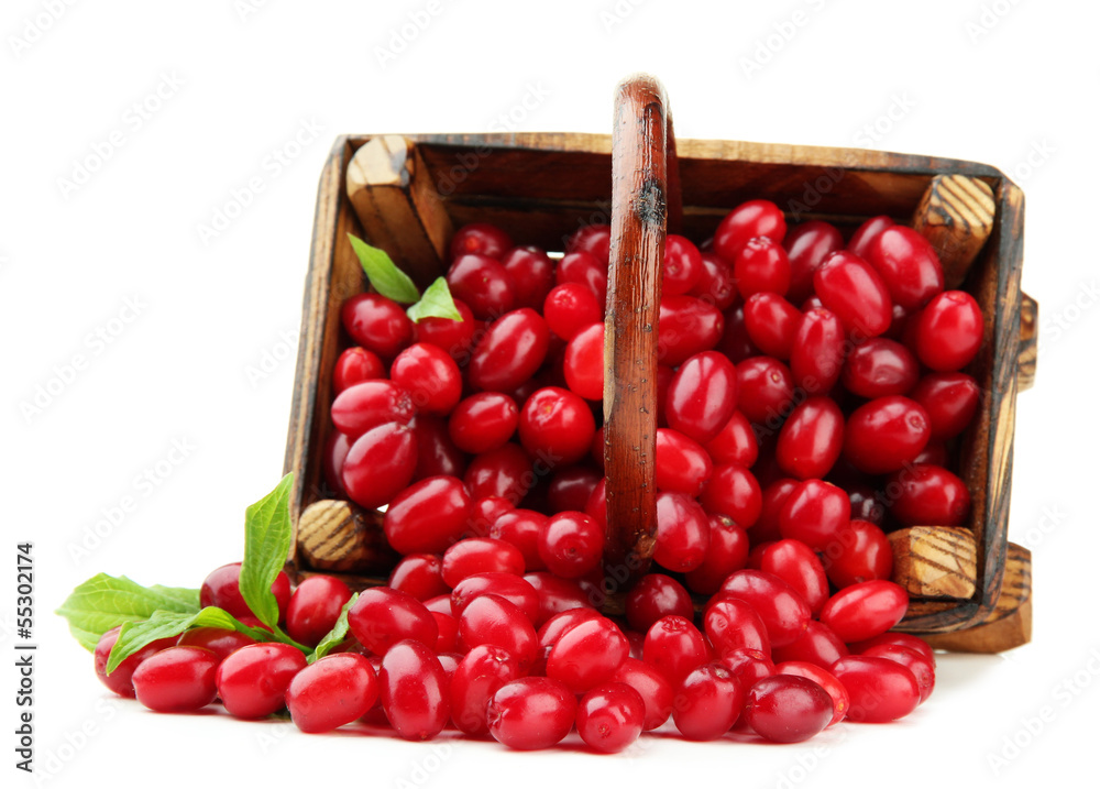 Fresh cornel berries in wooden basket, isolated on white