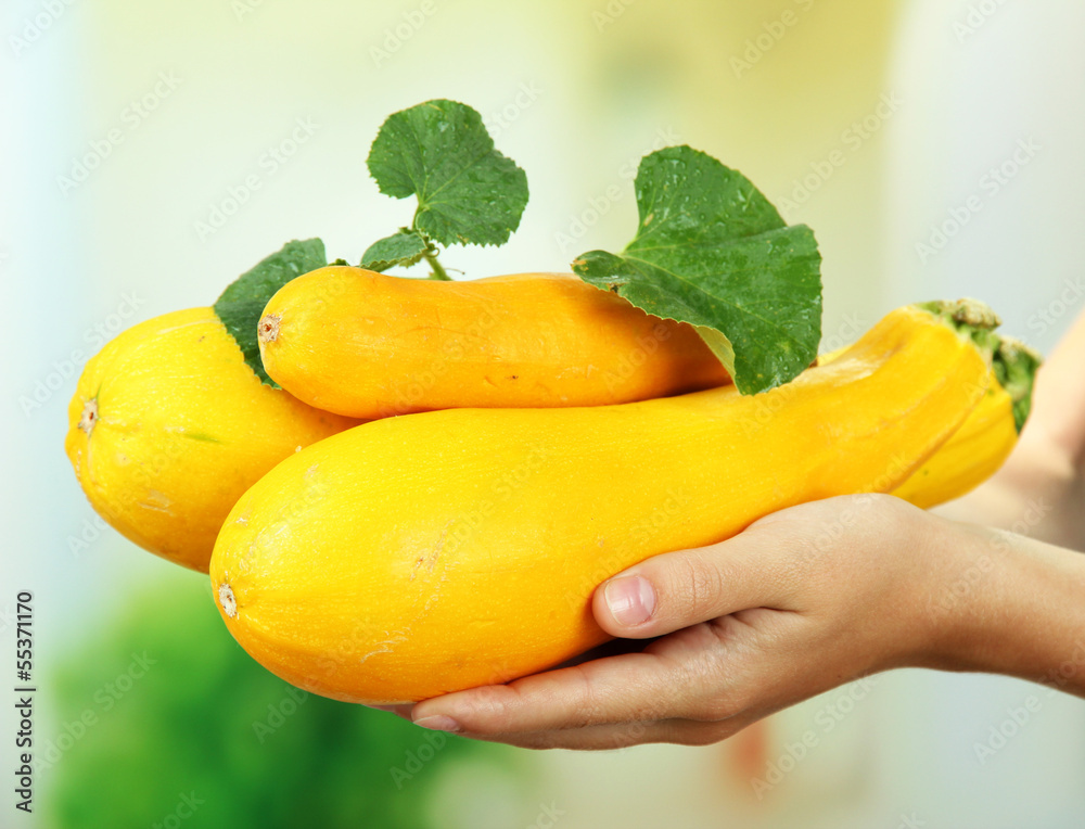 Woman hand holding raw zucchini, outdoors