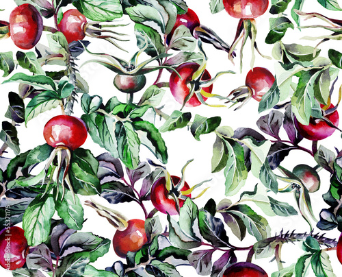 Naklejka - mata magnetyczna na lodówkę Rosehip Seamless Pattern