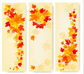 Fototapete - Three autumn backgrounds with colorful leaves. Back to school. V