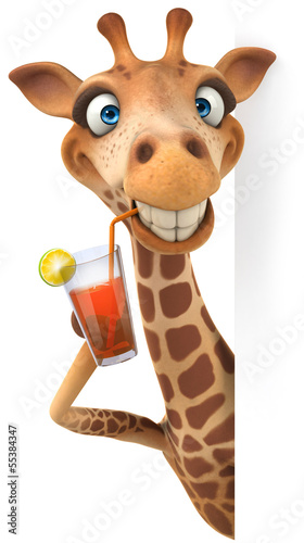 Fototapeta na wymiar Fun giraffe