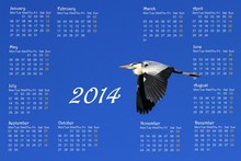 2014 English Calendar With Heron In Flight