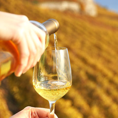 Glass of wine in the hand against vineyards in Lavaux region, Sw