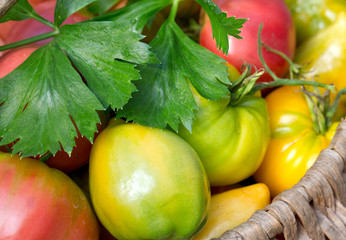 Poster - basket with colorful tomatoes