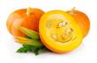 Ripe pumpkin vegetables with green levaes and blossom isolated
