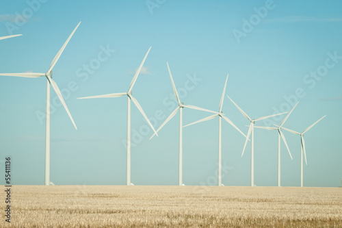 Fototapete - Wind turbines farm