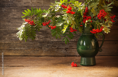 Naklejka ścienna ashberry on wooden background