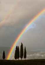 Generic Tuscan Background With Cypress Trees And Double Rainbow