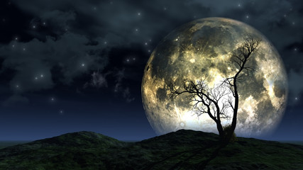tree and moon background