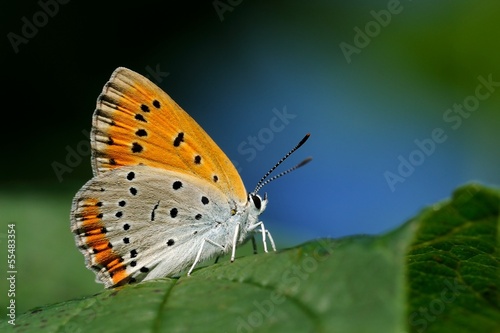 500_F_55483354_GrAGC6aFsN5YbJWsabgYQOnW11JXtt40.jpg