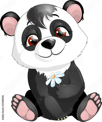 Fototapeta na wymiar panda